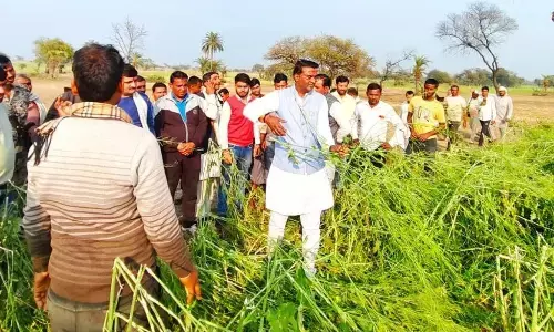 किसानों को ओलावृष्टि से प्रभावित फसलों का मुआवजा मिलेगा : राज्यमंत्री अहिरवार किसानों को ओलावृष्टि से प्रभावित फसलों का मुआवजा मिलेगा : राज्यमंत्री अहिरवार