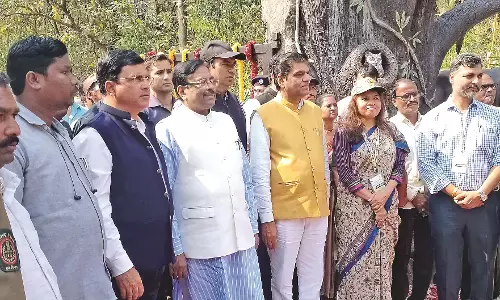 पेंच व्याघ्र प्रकल्प में 10 नए उपक्रमों का उदघाटन, मुनगंटीवार ने कहा- नहीं हो सकता वनराई की सेवा का मूल्यांकन पेंच व्याघ्र प्रकल्प में 10 नए उपक्रमों का उदघाटन, मुनगंटीवार ने कहा- नहीं हो सकता वनराई की सेवा का मूल्यांकन