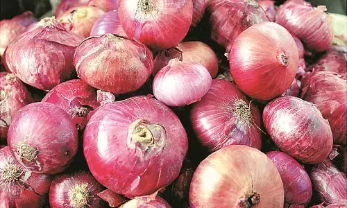 टमाटर की जगह कंटेनर डिपो में मिला प्याज, पाबंदी के बावजूद देश से बाहर भेजने की थी तैयारी