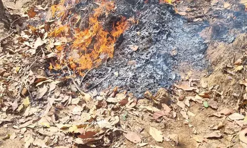 नाकाम हुई नक्सलियों की साजिश , सुरक्षाबलों ने जब्त किया 2 किलो विस्फोटक