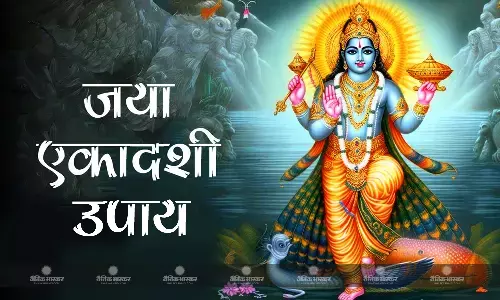 जया एकादशी के दिन करें ये उपाय, सुख समृद्धि में होगी वृद्धि, कष्टों से मिलेगी मुक्ति