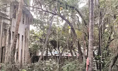 ठेका एजेंसी के कब्जे से सिमट कर रह गया गांधीबाग उद्यान, मूल रूप पर खतरा मंडरा रहा ठेका एजेंसी के कब्जे से सिमट कर रह गया गांधीबाग उद्यान, मूल रूप पर खतरा मंडरा रहा