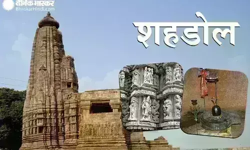 फसल नुकसानी पर छुट्टा मवेशियों को बाड़े में कैद कर देते हैं ग्रामीणजन, हो रही मौतें फसल नुकसानी पर छुट्टा मवेशियों को बाड़े में कैद कर देते हैं ग्रामीणजन, हो रही मौतें