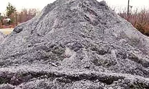 दो टिप्पर, 12 ब्रास रेत समेत 30.60 लाख का माल जब्त, रेत ढुलाई करते कार्रवाई