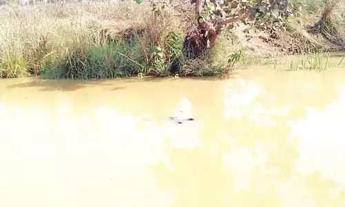 बच्ची की नाले में डूबने से गई जान, माता-पिता के पीछे-पीछे खेत जा रही थी