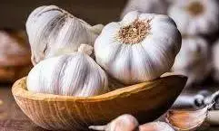 लहसुन के दामों में गिरावट से राहत, अगले माह से दामों में और गिरावट की संभावना