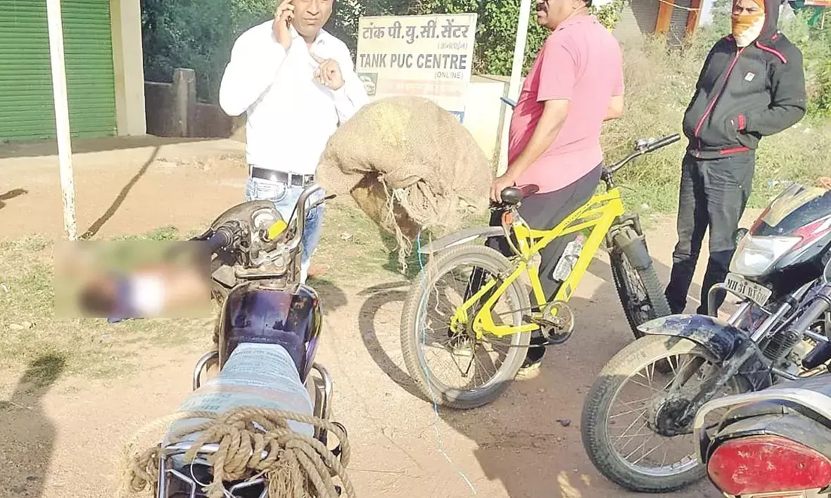 दोपहिया ने साइकिल सवार को उड़ाया, दो लोगों की लगी चोटें, तुमसर मार्ग पर हादसा