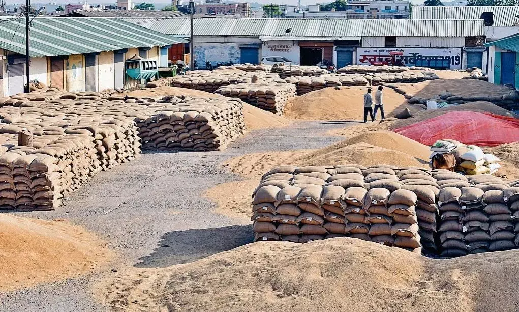 38 वेयर हाउसों पर गिरी गाज, अनाज खराब करने पर किए गए ब्लैकलिस्ट