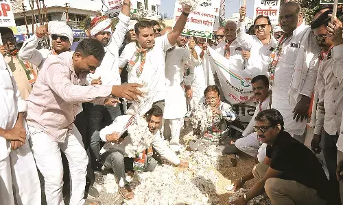 कपास - सोयाबीन को समर्थन मूल्य देने की मांग, कांग्रेस ने किया सरकार का विरोध कपास - सोयाबीन को समर्थन मूल्य देने की मांग, कांग्रेस ने किया सरकार का विरोध