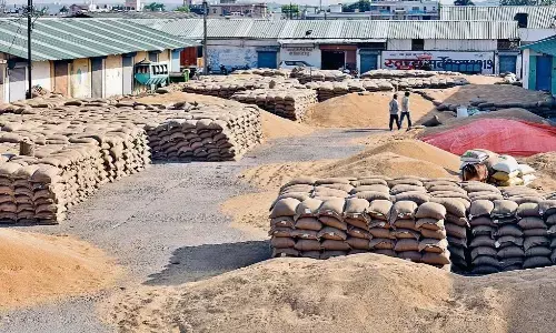 38 वेयर हाउसों पर गिरी गाज, अनाज खराब करने पर किए गए ब्लैकलिस्ट