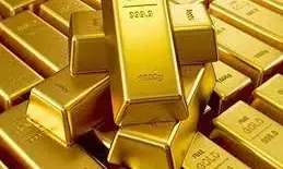 नागपुर एयरपोर्ट पर 822 ग्राम सोना के साथ तस्कर पकड़ाया, सभी सामान किया जब्त नागपुर एयरपोर्ट पर 822 ग्राम सोना के साथ तस्कर पकड़ाया, सभी सामान किया जब्त