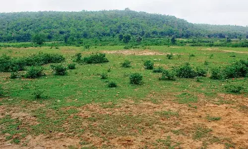डुमना रोड पर सेना की जमीन से सटकर बनाई जा रही काॅलोनी, हो रहे विवाद
