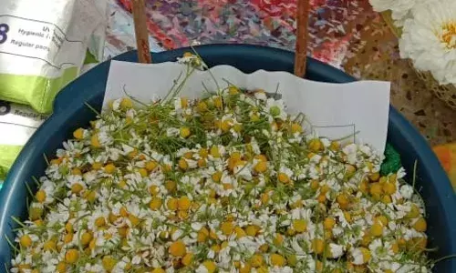 मेले में स्वयं सहायता समूह की महिलाओं द्वारा उत्पादित सामग्री का प्रदर्शन एवं विक्रय