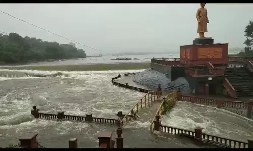 पेड़ कटाई और बांध खाली करने को लेकर मनपा और जलसंपदा विभाग का सर्वेक्षण