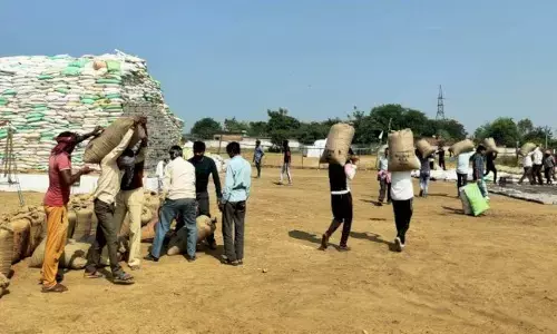गड़चिरोली में 53 केन्द्रों में अब तक खरीदा गया 8 लाख 28 हजार क्विंटल धान गड़चिरोली में 53 केन्द्रों में अब तक खरीदा गया 8 लाख 28 हजार क्विंटल धान