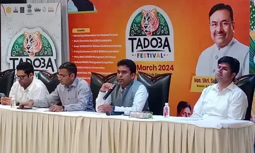 ताड़ोबा उत्सव, 10 देशों की मिस वर्ल्ड प्रतियोगी देंगी सेव द टाइगर्स का संदेश, रवीना टंडन भी आएंगी ताड़ोबा उत्सव, 10 देशों की मिस वर्ल्ड प्रतियोगी देंगी सेव द टाइगर्स का संदेश, रवीना टंडन भी आएंगी