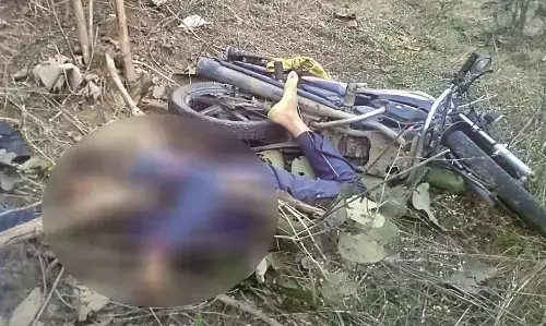 दर्दनाक हादसे में दिशा-दर्शक पत्थर से टकराई अनियंत्रित बाइक, एक की मौत