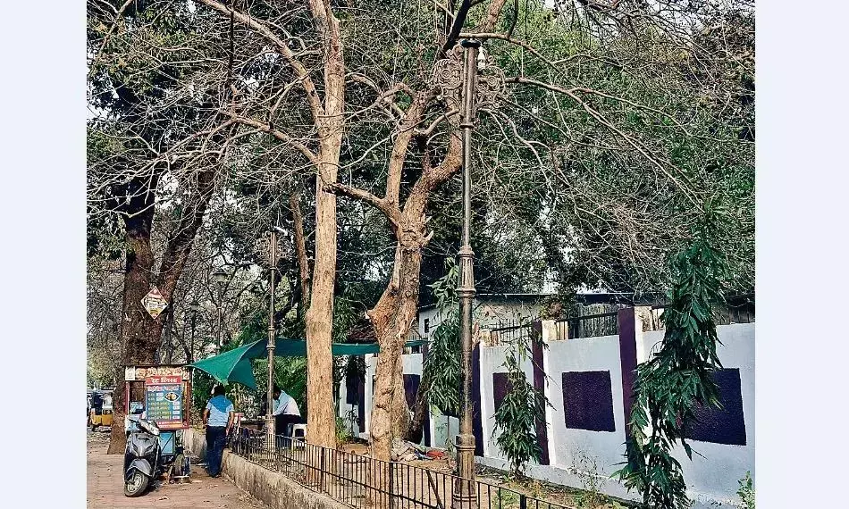 सिविल लाइन्स चौक से कैरव्ज तक के हाल तक खतरा, अधिकारियों को नहीं है परवाह
