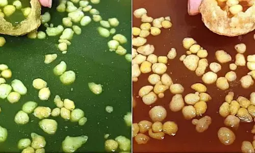 इस आसान रेसिपी से घर पर बनाएं मार्केट जैसा खट्टा-मीठा और तीखा पानी पुरी का पानी