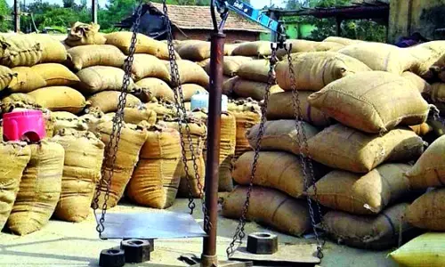 किसानों को राहत, 31 मार्च तक बढ़ी समर्थन मूल्य धान खरीदी योजना की अवधि किसानों को राहत, 31 मार्च तक बढ़ी समर्थन मूल्य धान खरीदी योजना की अवधि