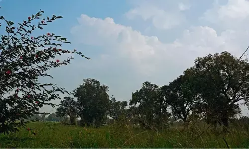 पश्चिमी विक्षोभ का असर, आगे सुबह और शाम के समय हल्की सर्दी रहेगी पश्चिमी विक्षोभ का असर, आगे सुबह और शाम के समय हल्की सर्दी रहेगी