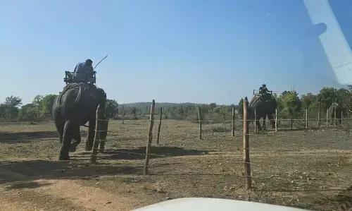 पहाड़ी पे चढक़र रेस्क्यू दल को छका रहा बिगड़ैल हाथी