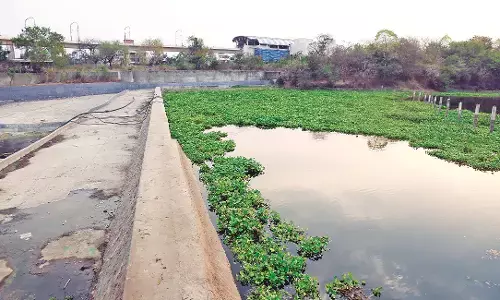 अब पंप से नहीं प्राकृतिक तौर पर अंबाझरी तालाब का पानी कम होने का किया जाएगा इंतजार