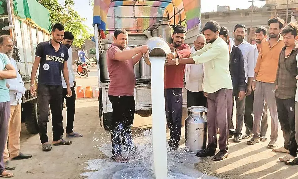 सही दाम न मिलने से भड़के किसानों ने सड़क पर बहाया दूध, बिहाड़ी में किया आंदोलन