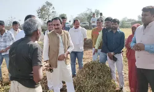 ओलावृष्टि से नुकसान हुई फसलों को देखने पहुंचे पन्ना विधायक ओलावृष्टि से नुकसान हुई फसलों को देखने पहुंचे पन्ना विधायक