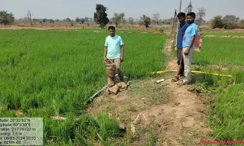 गड़चिरोली में जंगली हाथियों के झुंड ने फिर पहुंचाया फसलों काे भारी नुकसान गड़चिरोली में जंगली हाथियों के झुंड ने फिर पहुंचाया फसलों काे भारी नुकसान