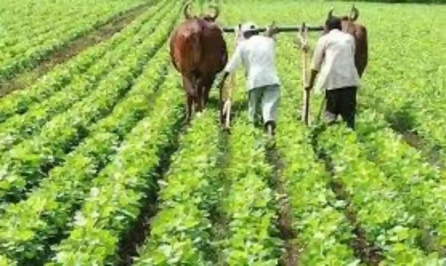 नकली कीटनाशक उत्पादकों के खिलाफ हो कार्रवाई, किसानों को हो रहा सीधा नुकसान