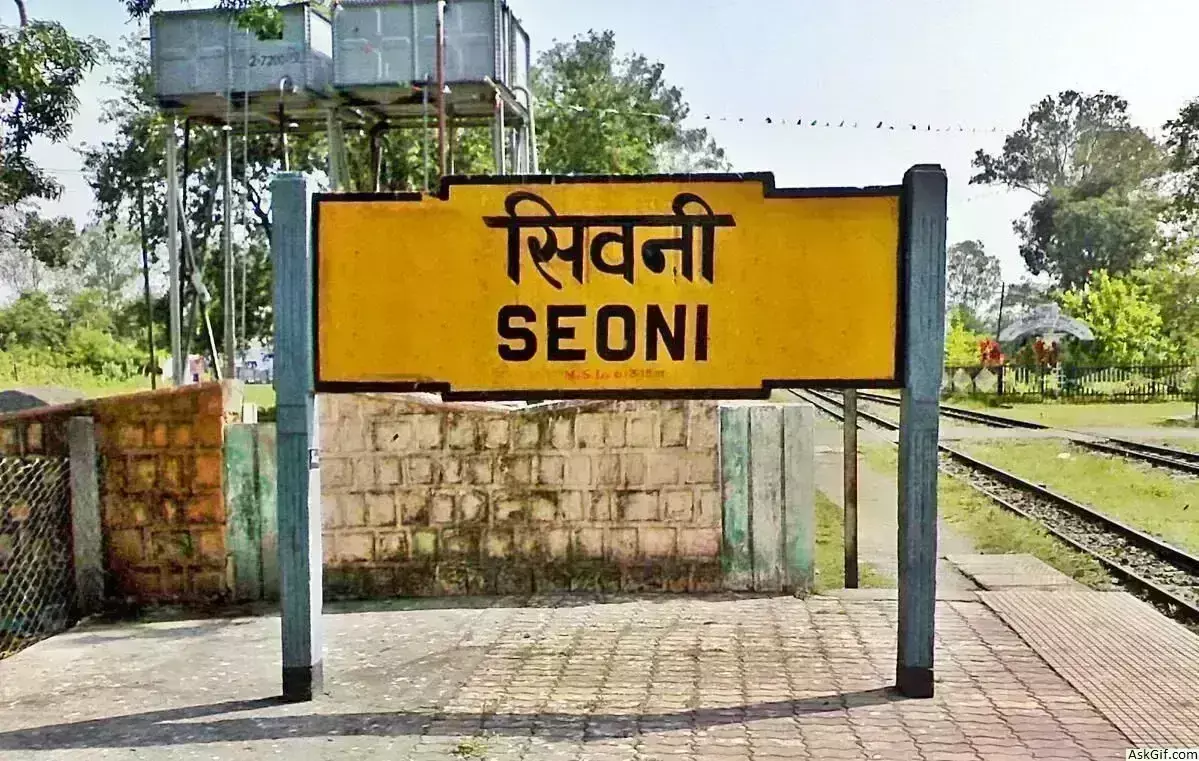 धूमधाम से गाजे-बाजे के साथ निकली ‘भोले’ की बारात देखने उमड़ा शहर