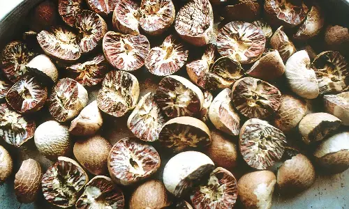 सुपारी कारोबारी के गोदाम से 15 टन माल जब्त, सड़ी सुपारी की आशंका, एफडीए को सूचना पत्र सुपारी कारोबारी के गोदाम से 15 टन माल जब्त, सड़ी सुपारी की आशंका, एफडीए को सूचना पत्र