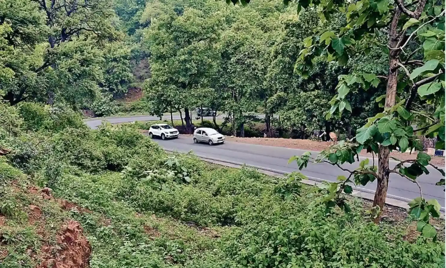 राँझी से अमझर 12 किलोमीटर की सड़क को मिलेगा नया रूप, ब्रिज भी चौड़ा होगा