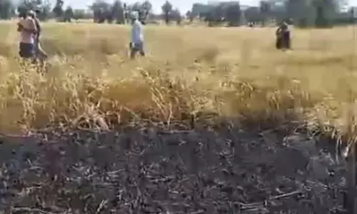 आग से दस एकड़ में गेंहू की फसल खाक