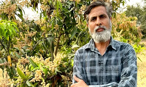 आम के बागीचे से लखपति बने किसान युवराज सिंह