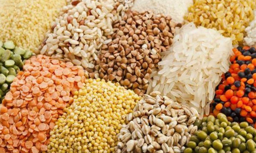 उद्यानिकी फसलों के बीज परीक्षण के लिये म.प्र. में बनेंगी प्रयोगशालाएँ : उद्यानिकी मंत्री कुशवाह