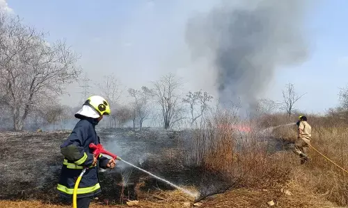 नागपुर के बायोडायवर्सिटी पार्क में लगी आग, 10 हेक्टेयर क्षेत्र जल कर खाक नागपुर के बायोडायवर्सिटी पार्क में लगी आग, 10 हेक्टेयर क्षेत्र जल कर खाक