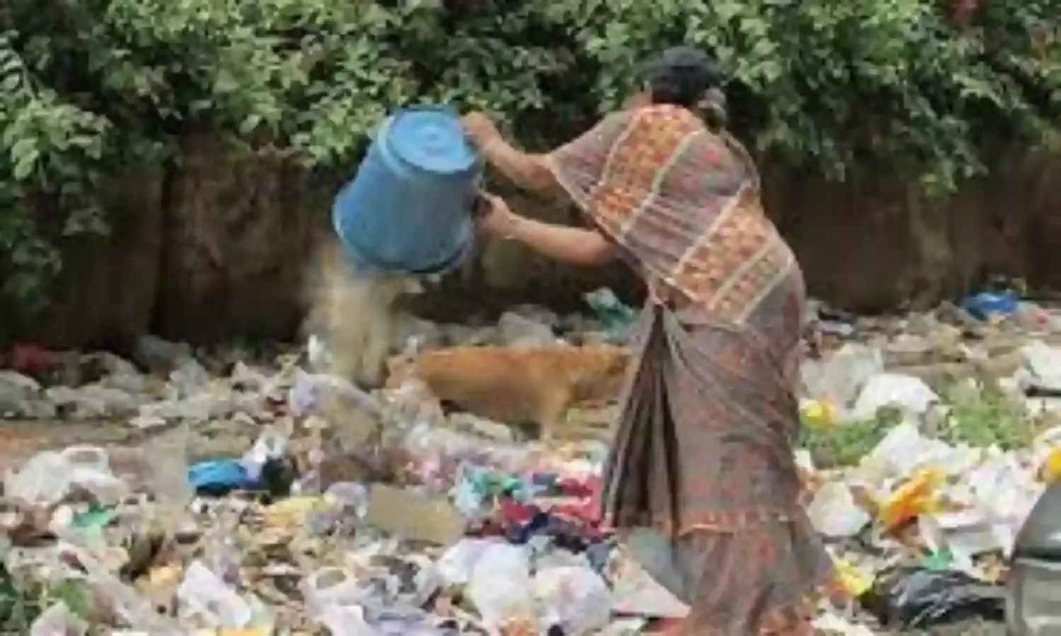 सार्वजनिक स्थानों पर गंदगी फैलाने के 93 मामले दर्ज, उपद्रव शोध पथक की कारवाई