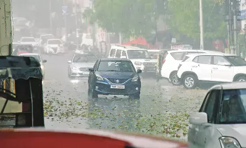 एक घंटे तक आई झमाझम बारिश, आंधी के साथ गिरे ओले - कई स्थानों पर पेड़ धराशाई