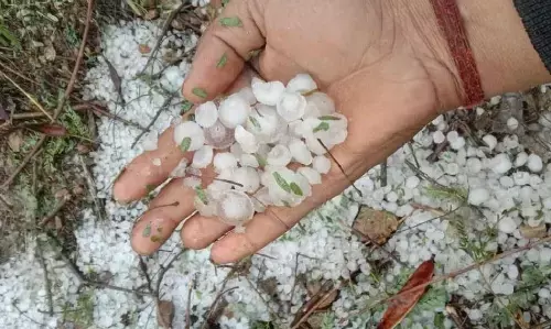 सिवनी में फिर गिरे ओले, छिंदवाड़ा और जबलपुर में बारिश, आखिर एमपी में क्यों बदला मौसम? सिवनी में फिर गिरे ओले, छिंदवाड़ा और जबलपुर में बारिश, आखिर एमपी में क्यों बदला मौसम?