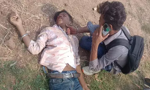 बाइक की टक्कर से चरवाहा और चालक गंभीर रूप से घायल