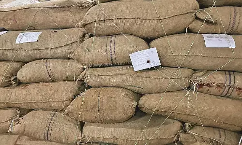 जिस गोदाम से जब्त की सड़ी सुपारी, उसे ही दे दी सुरक्षा की जिम्मेदारी और हो गईं 506 बोरियां चोरी जिस गोदाम से जब्त की सड़ी सुपारी, उसे ही दे दी सुरक्षा की जिम्मेदारी और हो गईं 506 बोरियां चोरी