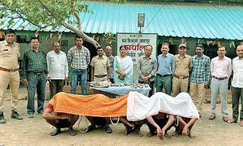 पक्षियों का शिकार कर रहे 5 आरोपी हुए गिरफ्तार, अदालत ने वन कारागृह में भेजा