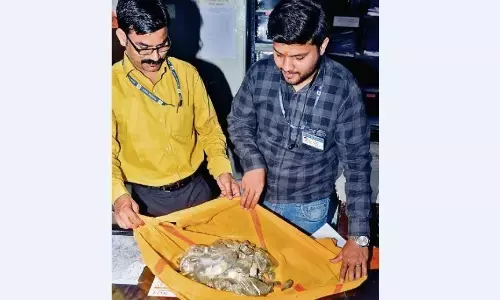 अधिसूचना जारी, पहले दिन कोई भी नामांकन नहीं अधिसूचना जारी, पहले दिन कोई भी नामांकन नहीं