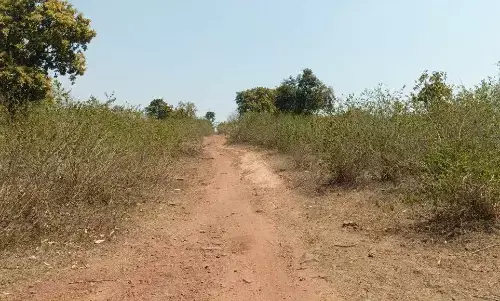 कल्दा पठार के ग्राम आजादी के दशकों बाद भी बुनियाद सुविधाओं से अछूते कल्दा पठार के ग्राम आजादी के दशकों बाद भी बुनियाद सुविधाओं से अछूते