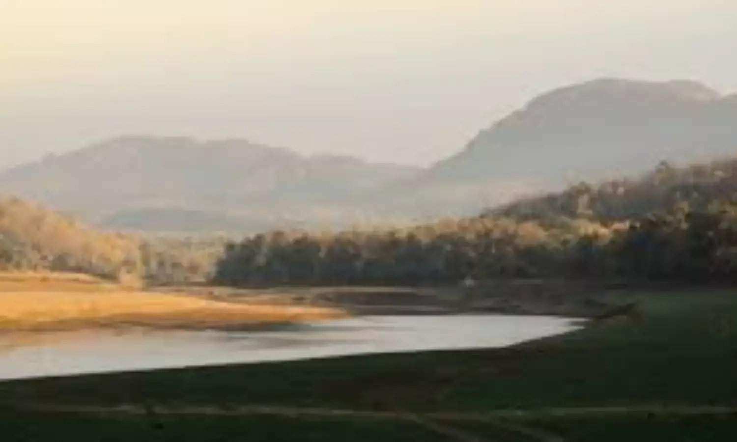 सुरक्षा की दृष्टि से नहीं शुरु हो सकी पैदल सफारी, ठंडे बस्ते में योजना