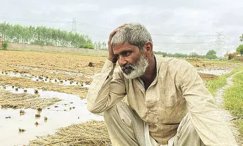 किसानों की सुध नहीं, चुनाव प्रक्रिया में लगा प्रशासन- नुकसान का पंचनामां नहीं