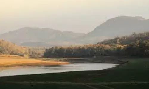 सुरक्षा की दृष्टि से नहीं शुरु हो सकी पैदल सफारी, ठंडे बस्ते में योजना
