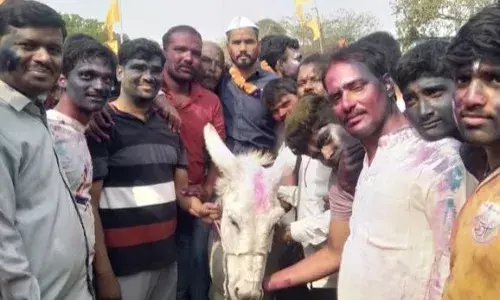 गांव के 125 दामाद फरार, यहां होली में नए दामाद को कराई जाती है गधे की सवारी